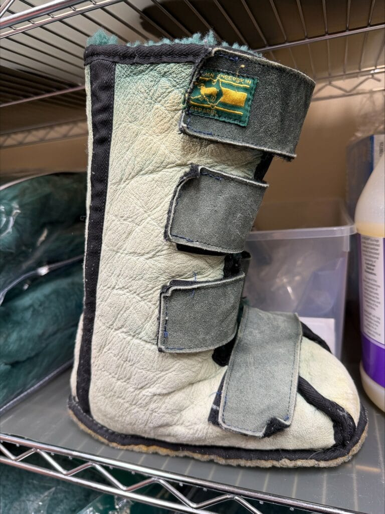 thumbnail_processed-BB372C88-2A4D-4917-B37F-7A422789C499